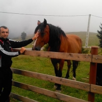 thumb-22674352.jpg