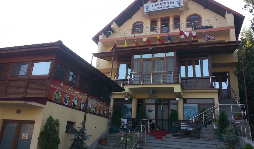 Pensiunea Cristal Tulcea , Excursii cu ambarcatiuÃ±i .